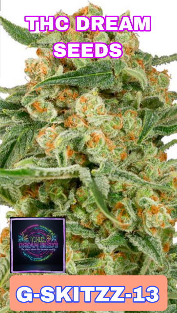 G-SKITZZ-13 auto Cannabis Seeds