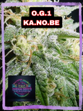 O.G.1 KA.NO.BE