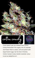 cotton candy seeds (#1)